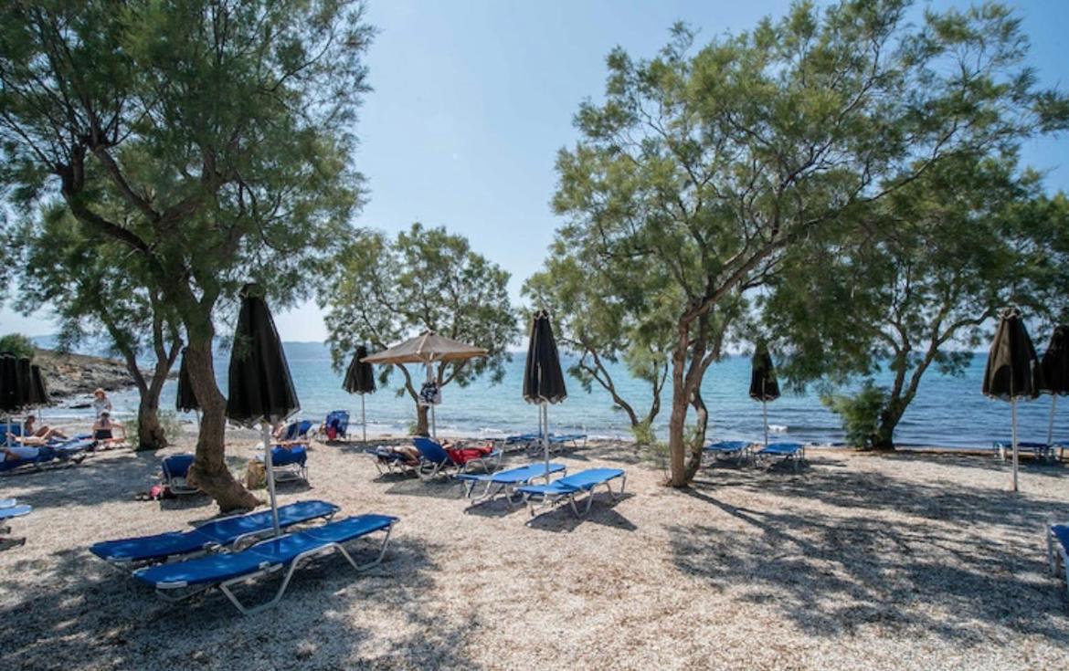 Villa Sofia Stelida (Naxos) Exterior foto